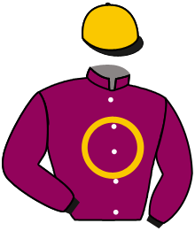 Casaque du n°12 — OSIRIS LAW