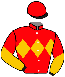Casaque du n°5 — BERMAN