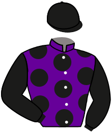 Casaque du n°6 — THE GREAT EIGHT
