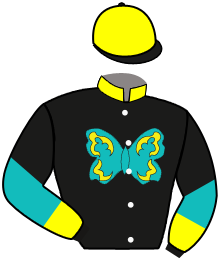 Casaque du n°3 — FIDDLING FELIX