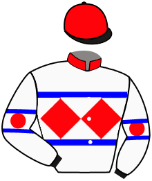 Casaque du n°3 — OMI MARIA