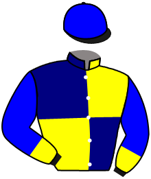 Casaque du n°9 — HAMMERS NICKEL
