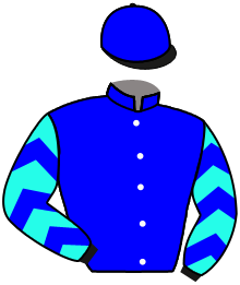 Casaque du n°1 — BOOMINGTON