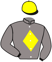 Casaque du n°5 — DIPTIQUE