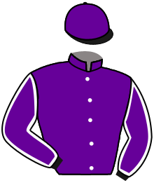 Casaque du n°1 — ENTICED MASTER