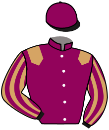Casaque du n°11 — XARUN