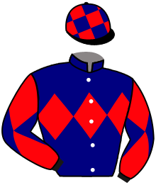 Casaque du n°8 — BLACK ARMOR