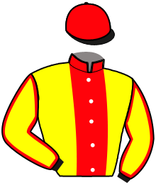 Casaque du n°11 — NECFEU