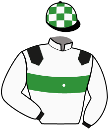 Casaque du n°2 — NELLIE