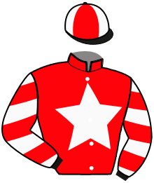 Casaque du n°11 — KITALPHAR