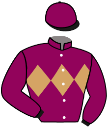 Casaque du n°8 — AMIRLAN