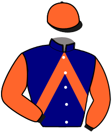 Casaque du n°11 — NELSON DU NOYER