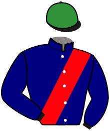 Casaque du n°9 — NASH DES RIOULTS