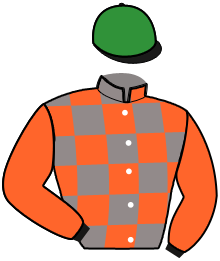 Casaque du n°14 — LOUPIOT JACTA