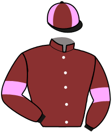 Casaque du n°12 — LILA D'OCTAV