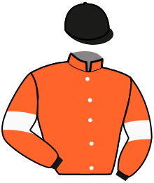 Casaque du n°2 — LUNIDOLE