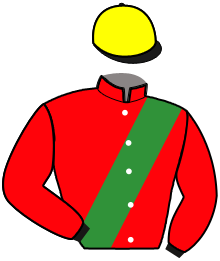 Casaque du n°4 — HARRY ATOUT