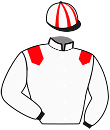 Casaque du n°6 — JAVA DU MONCEL