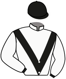 Casaque du n°4 — MERRIEN