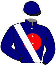Casaque du n°15 — KEEN LADY