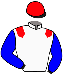 Casaque du n°8 — LAZHER
