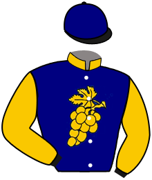 Casaque du n°4 — WARREN HILL