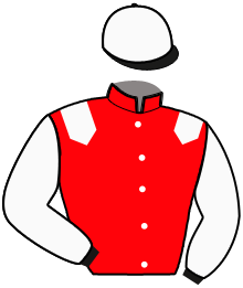 Casaque du n°11 — NODACK