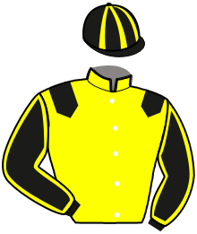 Casaque du n°12 — IDEAL MOSSA