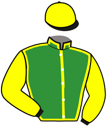 Casaque du n°11 — LORD DE BRION