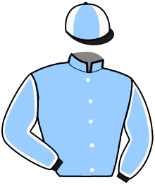 Casaque du n°9 — JAVADA DU MONT