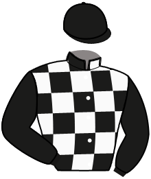 Casaque du n°11 — NOUNE D'OSTENDE