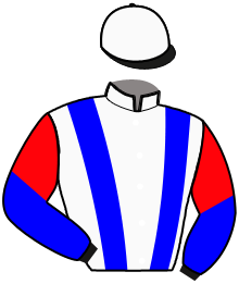 Casaque du n°2 — LORENZO DE BRUCOM