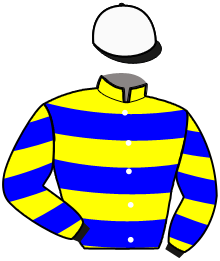 Casaque du n°3 — DANY CAPAR