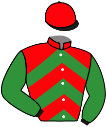 Casaque du n°15 — TARGUI