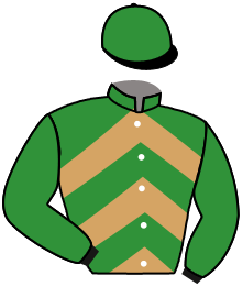 Casaque du n°12 — MOLINO