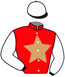 Casaque du n°7 — STURLASSON