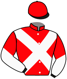 Casaque du n°1 — BRIAN