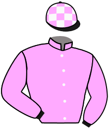 Casaque du n°1 — YANIFER