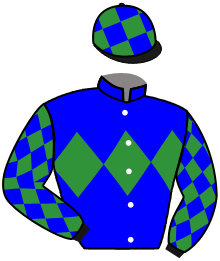 Casaque du n°4 — MILITARY LEADER