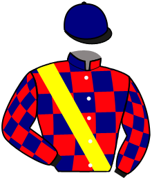 Casaque du n°9 — VIF DE BOISTRON
