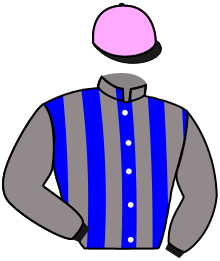 Casaque du n°13 — PREMIERA