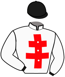 Casaque du n°5 — OR DE FONT