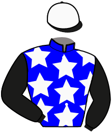 Casaque du n°7 — MERAVELLA DECO