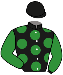 Casaque du n°8 — JUNIOR SJ