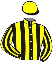 Casaque du n°3 — LUDOVIKA