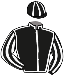 Casaque du n°8 — MORAYA DU KASTEL