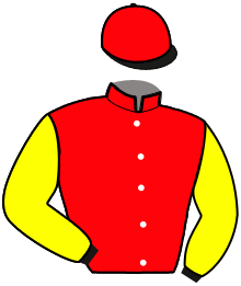 Casaque du n°2 — NORMAND DEBELGRAVE