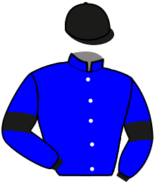 Casaque du n°1 — OCCHIOLINO