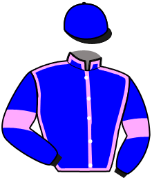 Casaque du n°2 — LAGON DU DEZERT