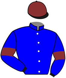 Casaque du n°12 — MEPHISTO JAVANAIS